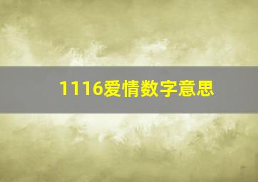 1116爱情数字意思