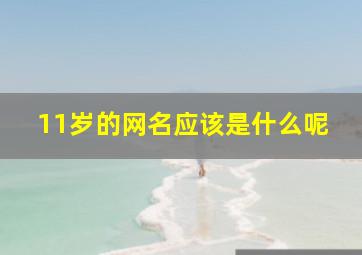 11岁的网名应该是什么呢