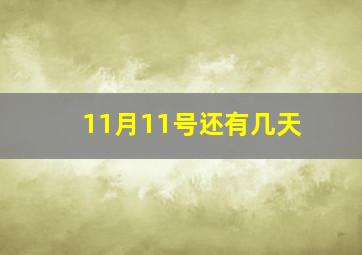 11月11号还有几天