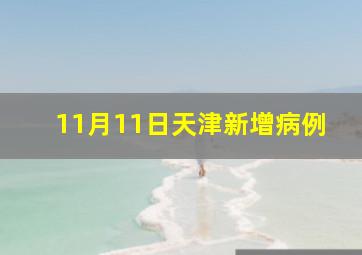 11月11日天津新增病例