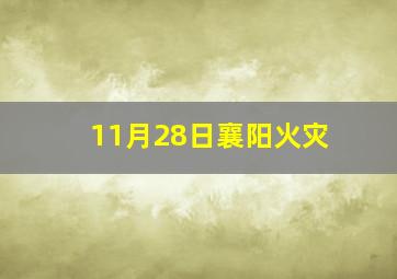 11月28日襄阳火灾