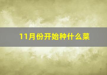 11月份开始种什么菜