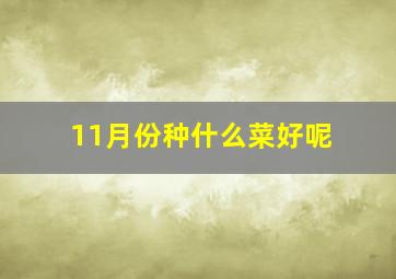 11月份种什么菜好呢