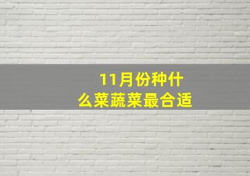 11月份种什么菜蔬菜最合适