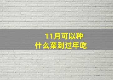 11月可以种什么菜到过年吃