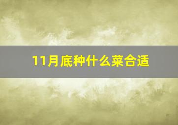 11月底种什么菜合适