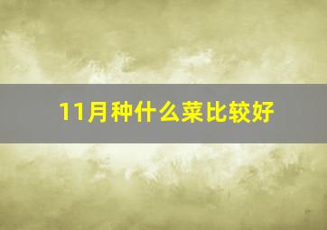 11月种什么菜比较好