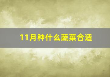 11月种什么蔬菜合适