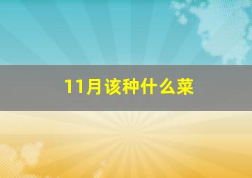 11月该种什么菜