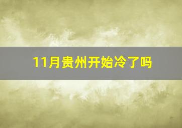 11月贵州开始冷了吗