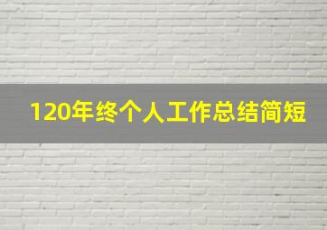 120年终个人工作总结简短