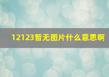 12123暂无图片什么意思啊