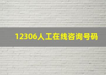 12306人工在线咨询号码