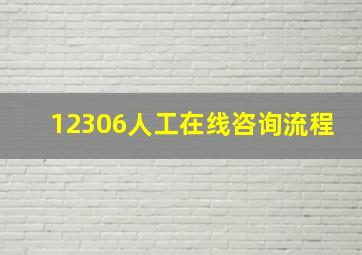 12306人工在线咨询流程