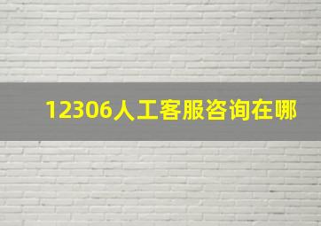 12306人工客服咨询在哪