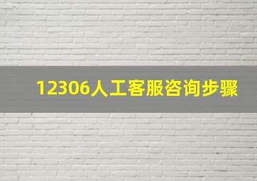 12306人工客服咨询步骤