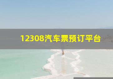 12308汽车票预订平台