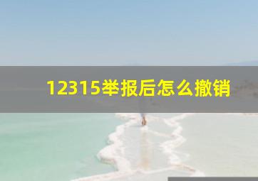 12315举报后怎么撤销