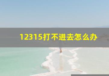 12315打不进去怎么办