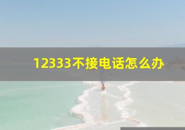 12333不接电话怎么办