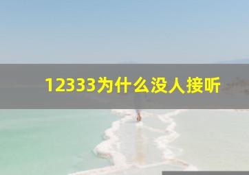 12333为什么没人接听