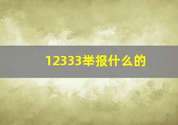 12333举报什么的