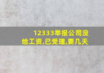 12333举报公司没给工资,已受理,要几天