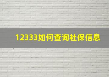 12333如何查询社保信息