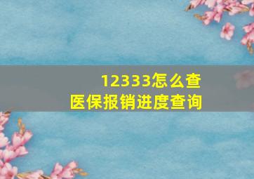 12333怎么查医保报销进度查询