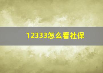 12333怎么看社保