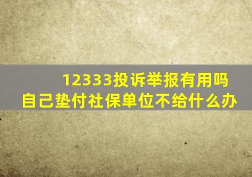 12333投诉举报有用吗自己垫付社保单位不给什么办