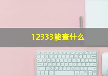 12333能查什么