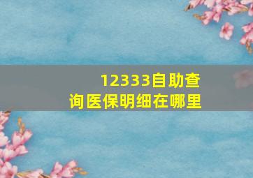 12333自助查询医保明细在哪里