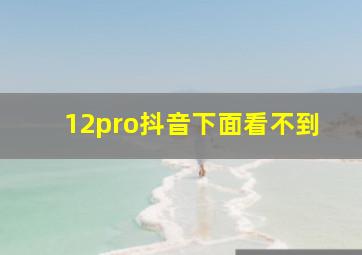 12pro抖音下面看不到