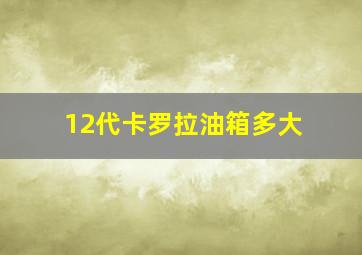 12代卡罗拉油箱多大