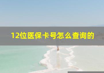 12位医保卡号怎么查询的