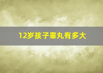 12岁孩子睾丸有多大