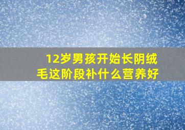 12岁男孩开始长阴绒毛这阶段补什么营养好