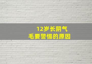 12岁长阴气毛要警惕的原因