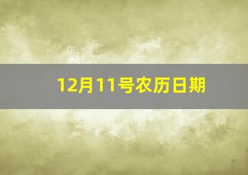 12月11号农历日期