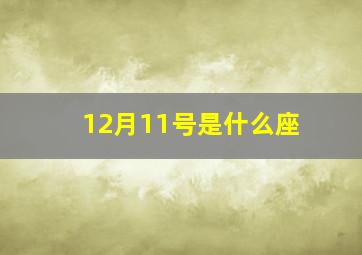 12月11号是什么座