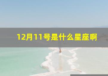 12月11号是什么星座啊