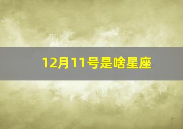 12月11号是啥星座