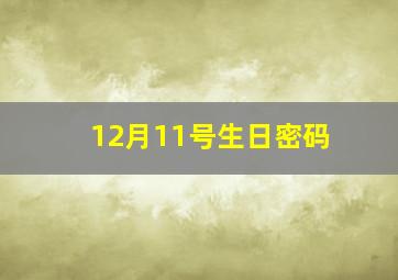 12月11号生日密码