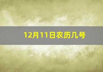 12月11日农历几号