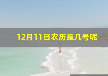 12月11日农历是几号呢