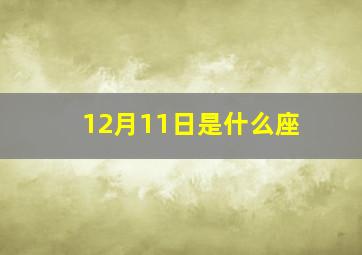 12月11日是什么座