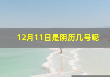 12月11日是阴历几号呢