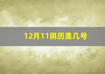 12月11阴历是几号