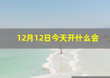 12月12日今天开什么会